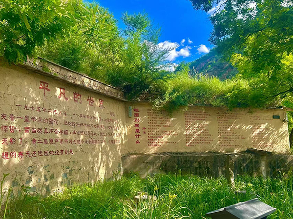 图9.jpg