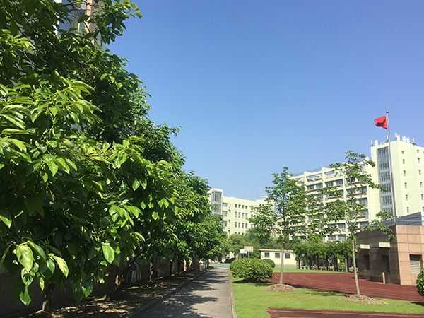 校园风景4.jpg