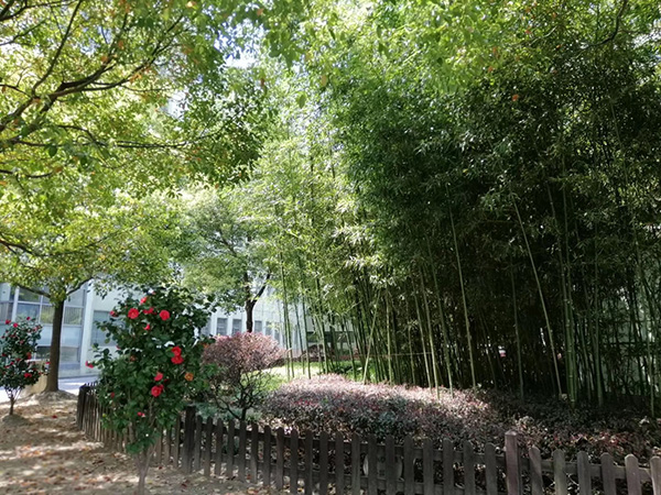 校园风景5.jpg