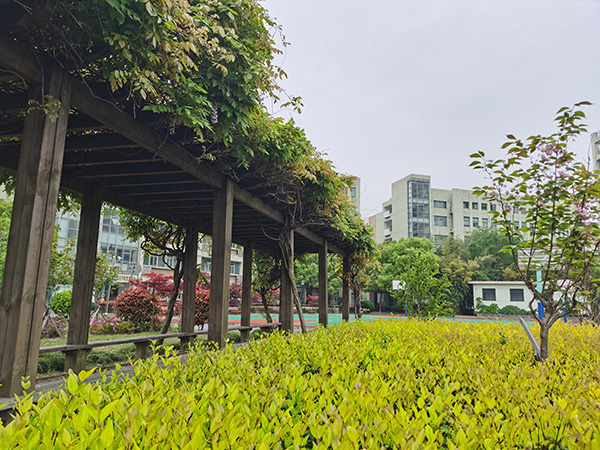 校园风景10.jpg